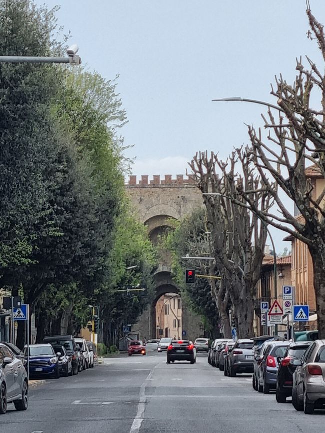 Siena