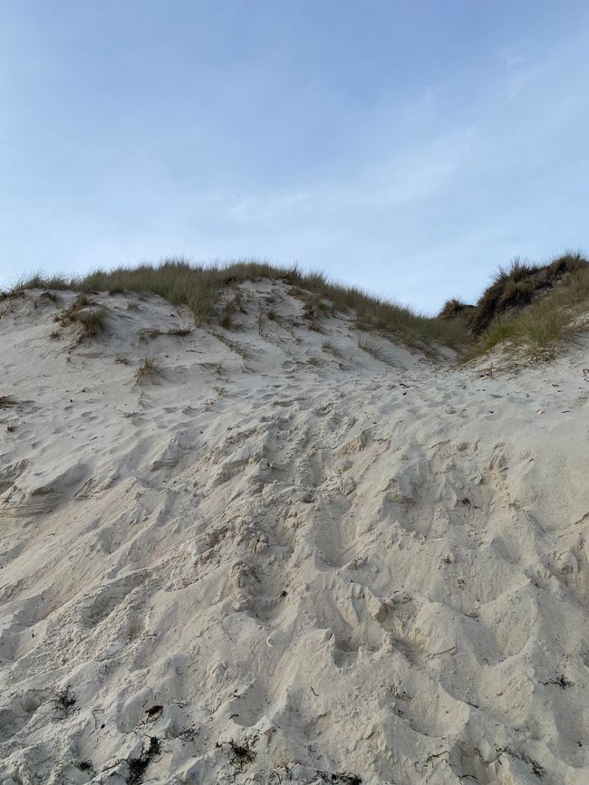 About the KariKari beach to Whangarei