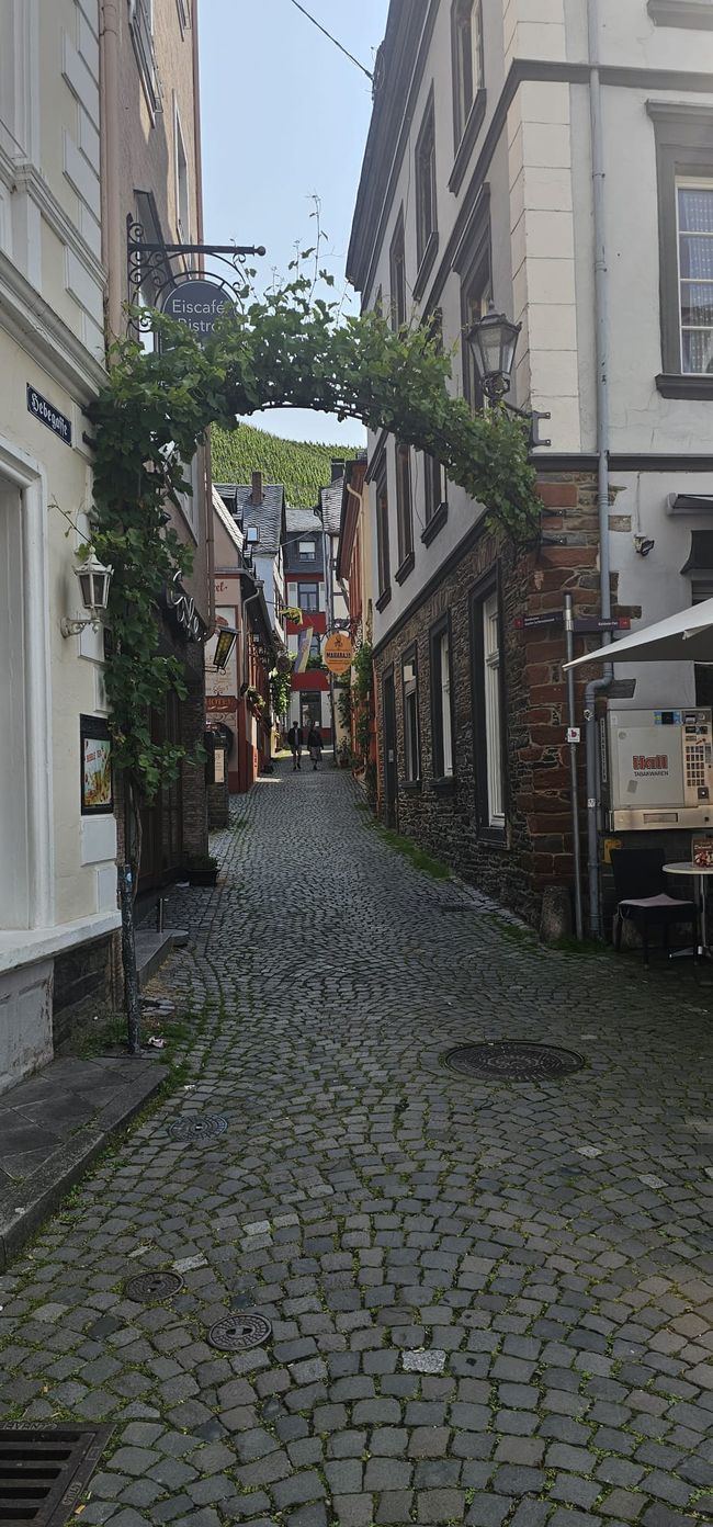 Cochem on the Moselle