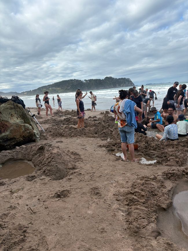 Hot Water Beach- wir werden Digger