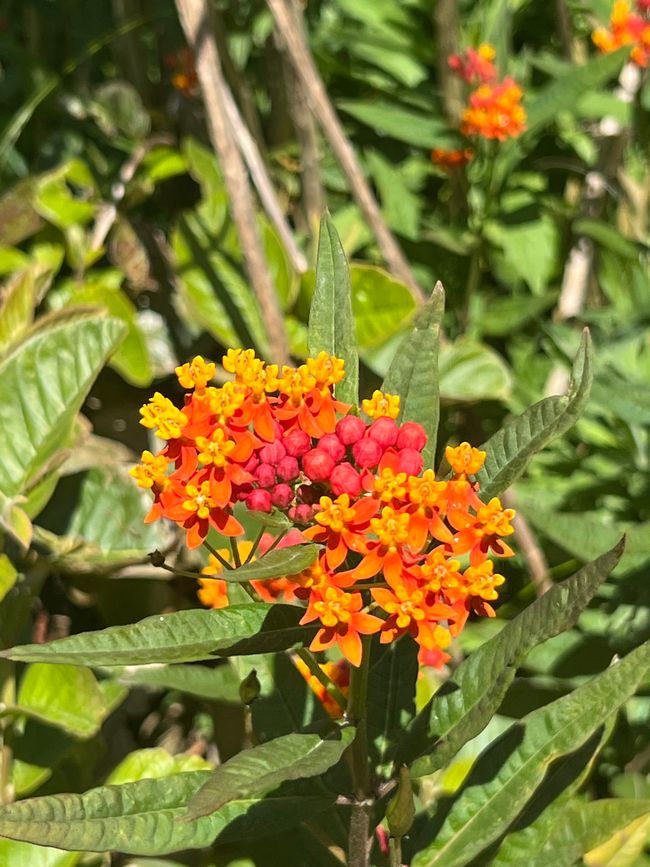 7: …