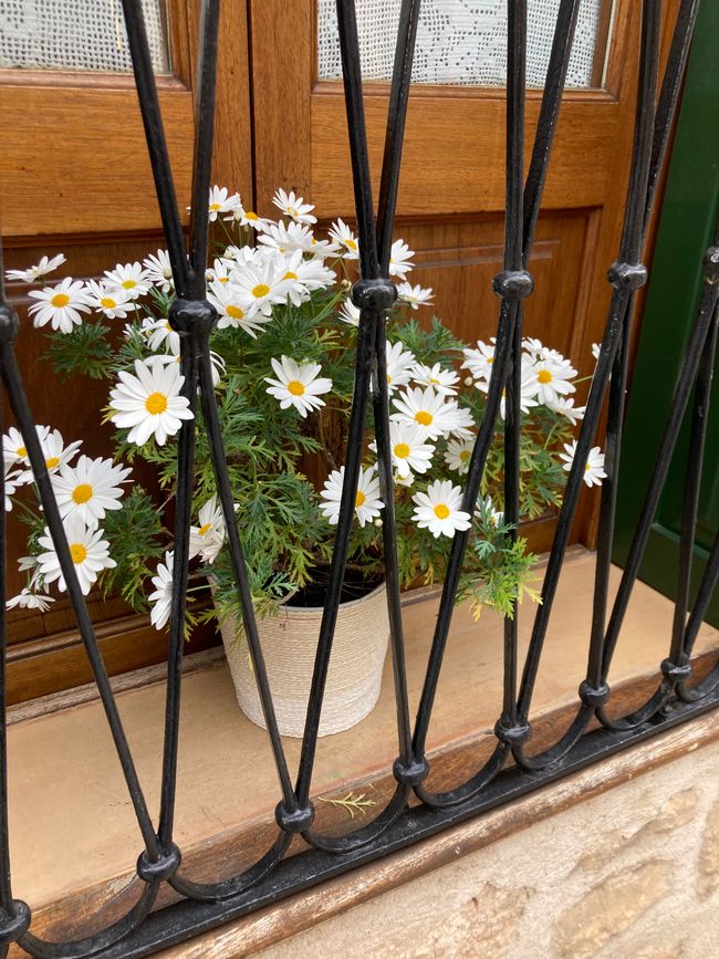 In Soller …finde ich den Mann für‘s Leben