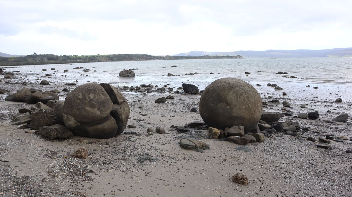 Koutu Boulders