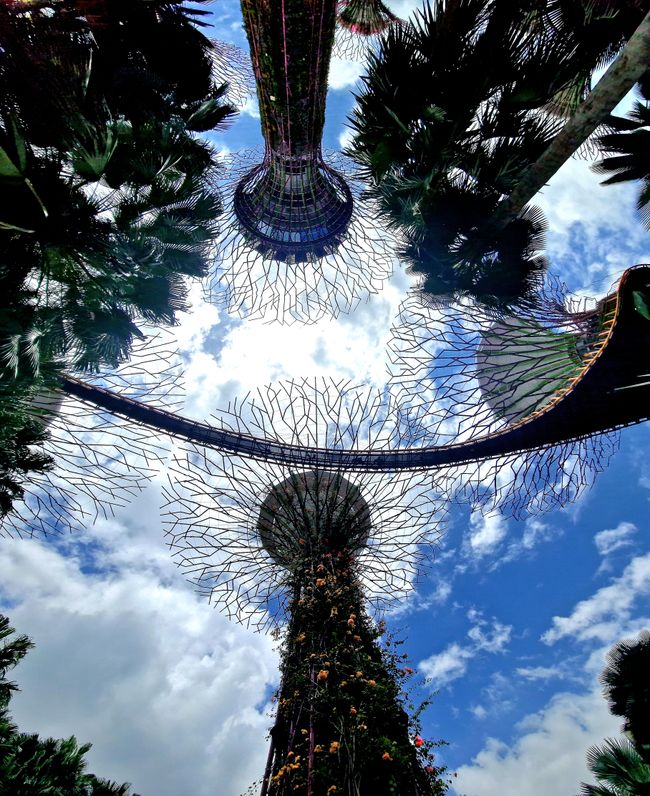 Gardens by the bay