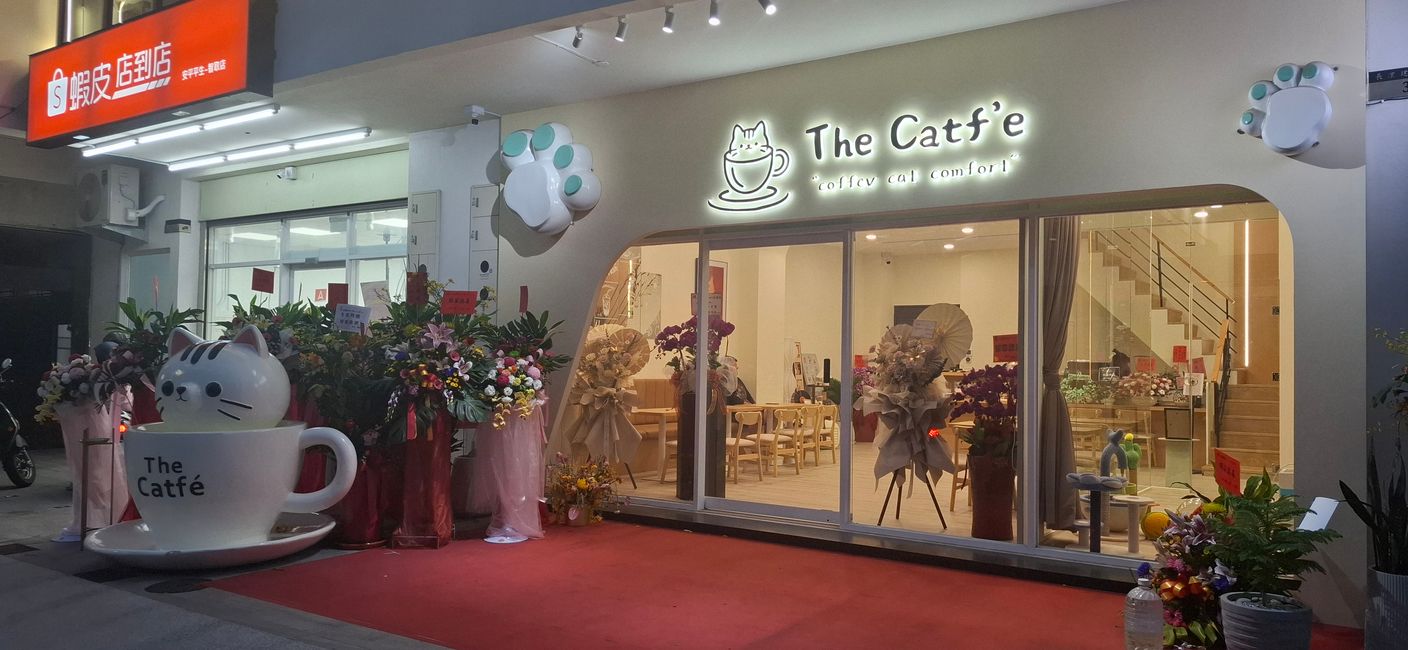 Katzencafé in Taitung