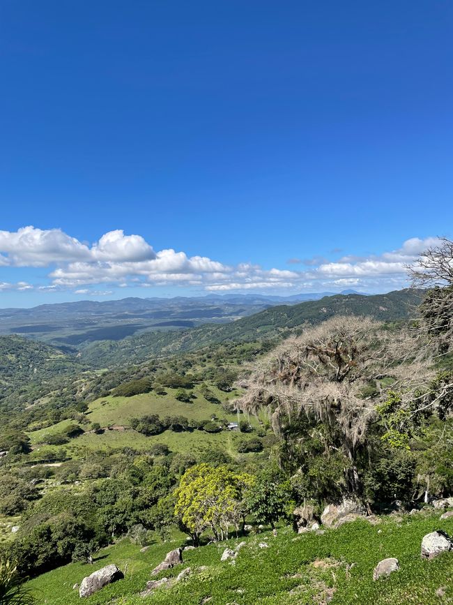 Das Naturreservat Miraflor