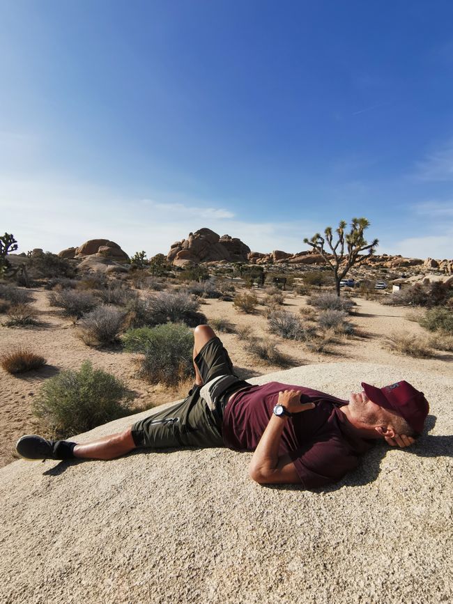 Vom Joshua Tree NP über die Route 66 nach Laughlin