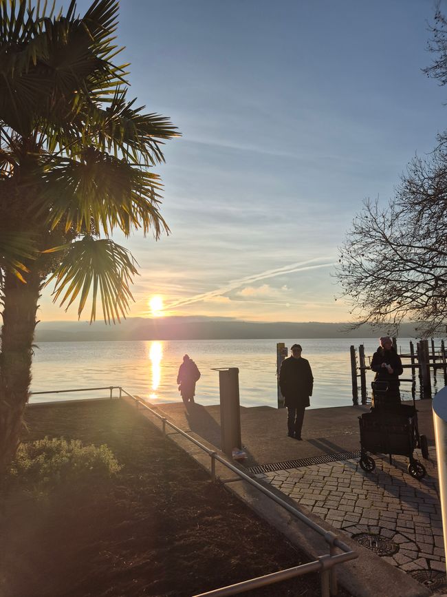 A Fairytale Christmas: Vienna, Budapest, and Bratislava Bus Tour 2025