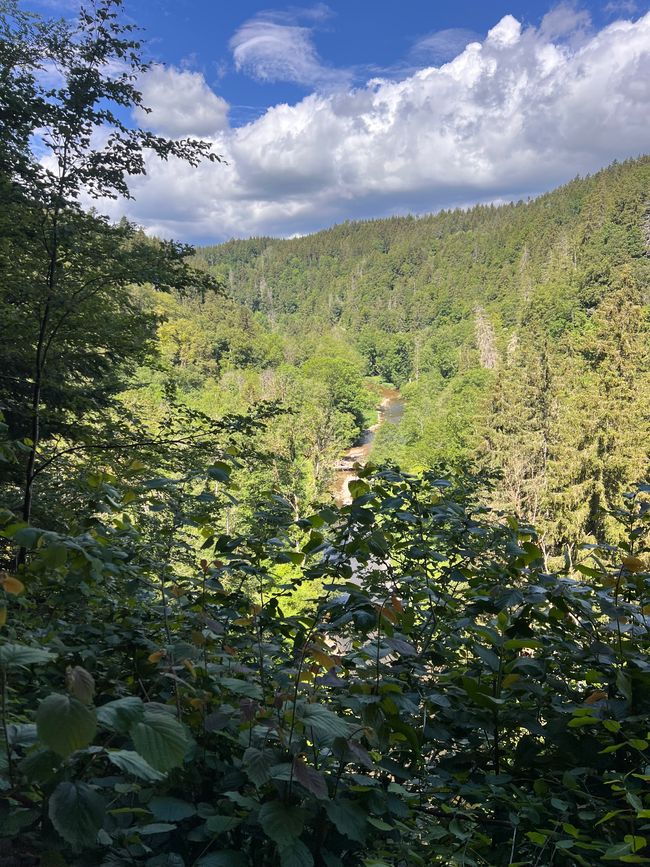 28 Wutachschlucht Pro Wolermoos