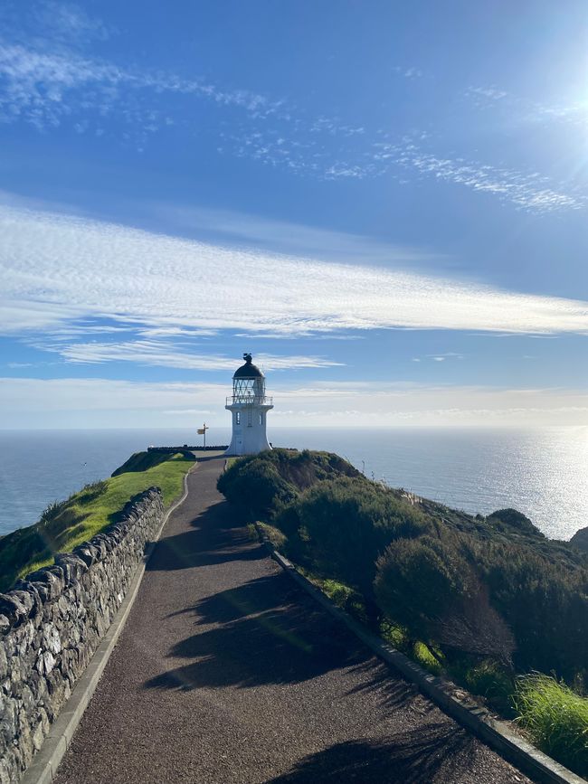 At the End of the World