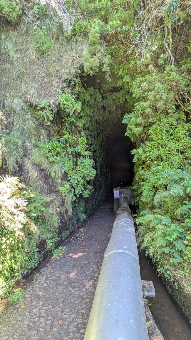 Tag 10: Levada das 25 Fontes und Risco & Feenwald
