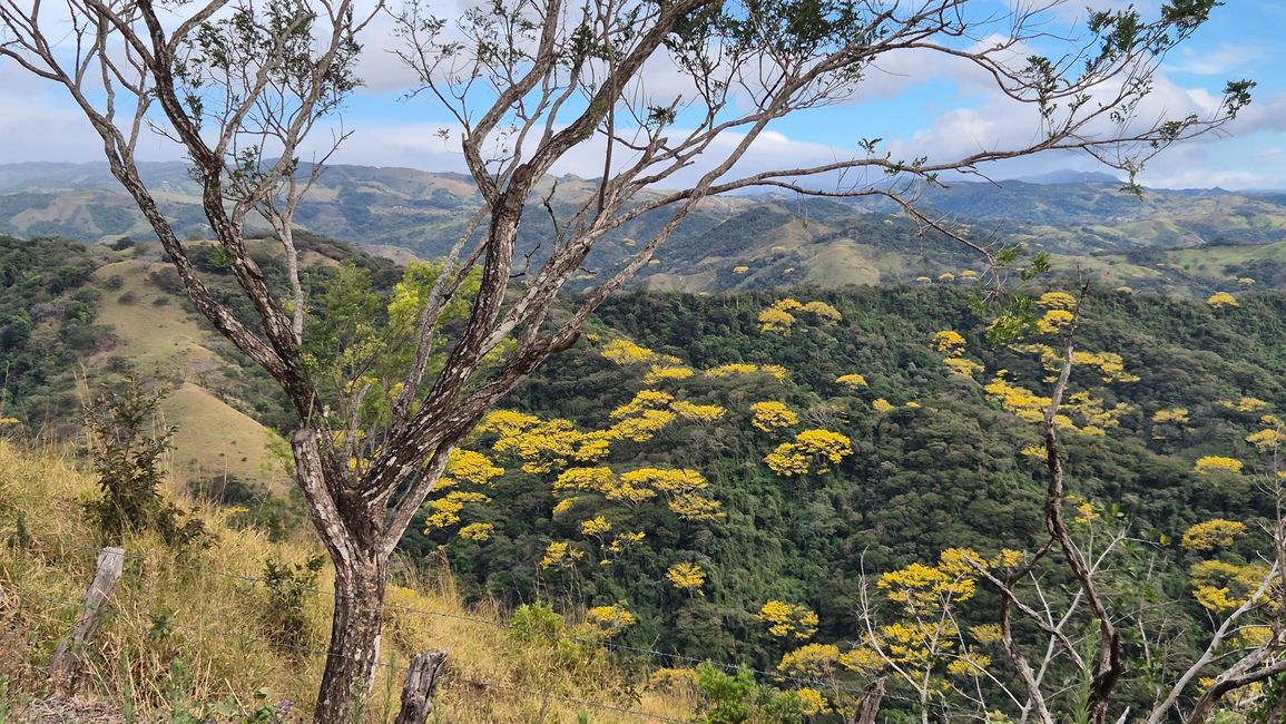 In der Cordillera de Tilarán