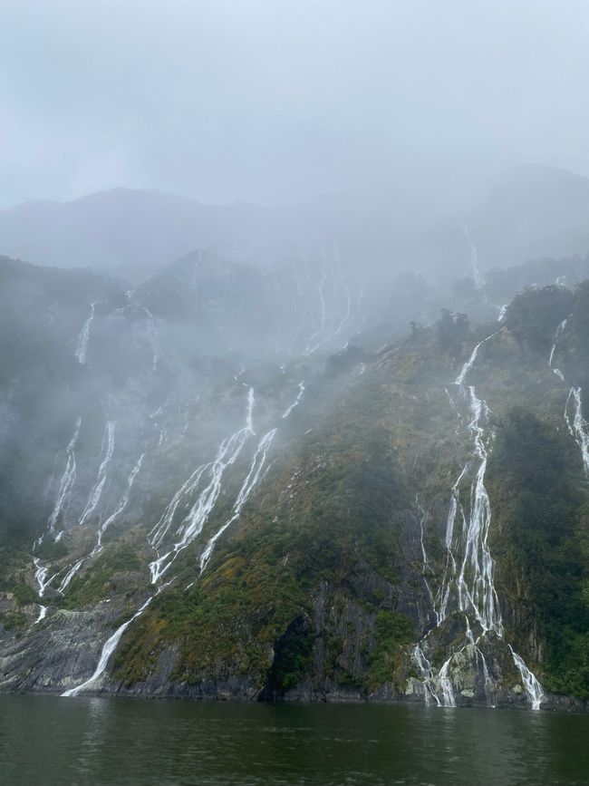 Road trip to Milford Sound
