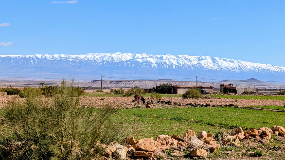 Campo de nieve