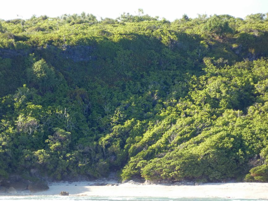 Henderson, Îles Pitcairn