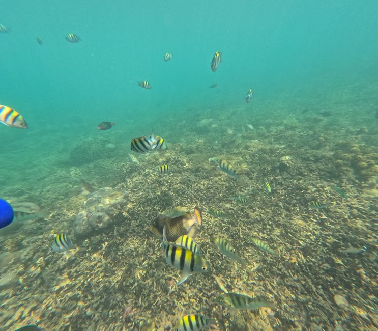 Etiqueta 17: Isla hopping frente a Lombok