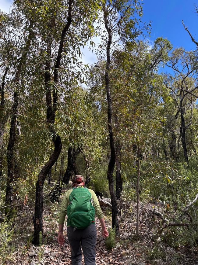 Stirling Range National Park