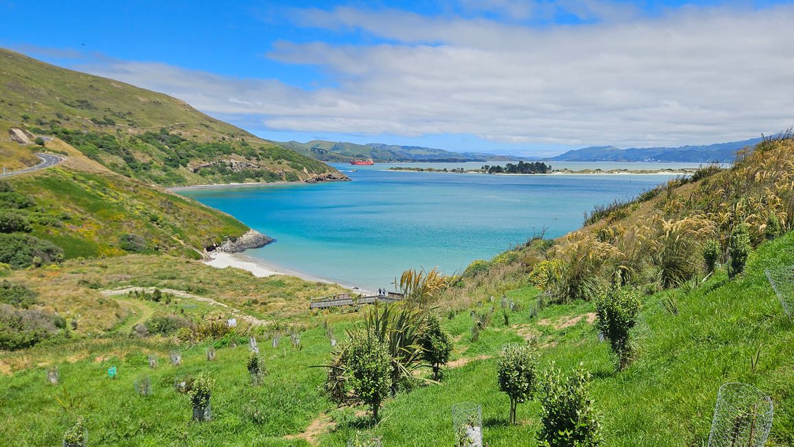 Timaru - Oamaru - Moeraki - Dunedin - Otago Peninsula - Oamaru