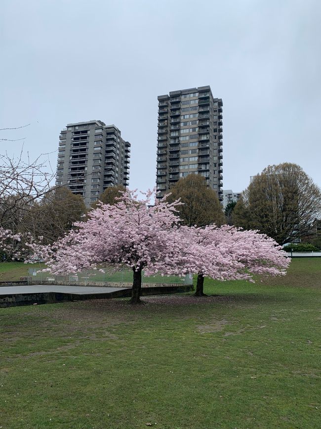 Vancouver
