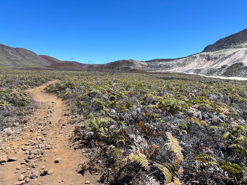 Unten im Krater dann normale Wanderwege