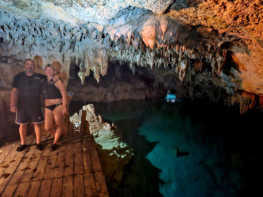 Turtles and Cenotes