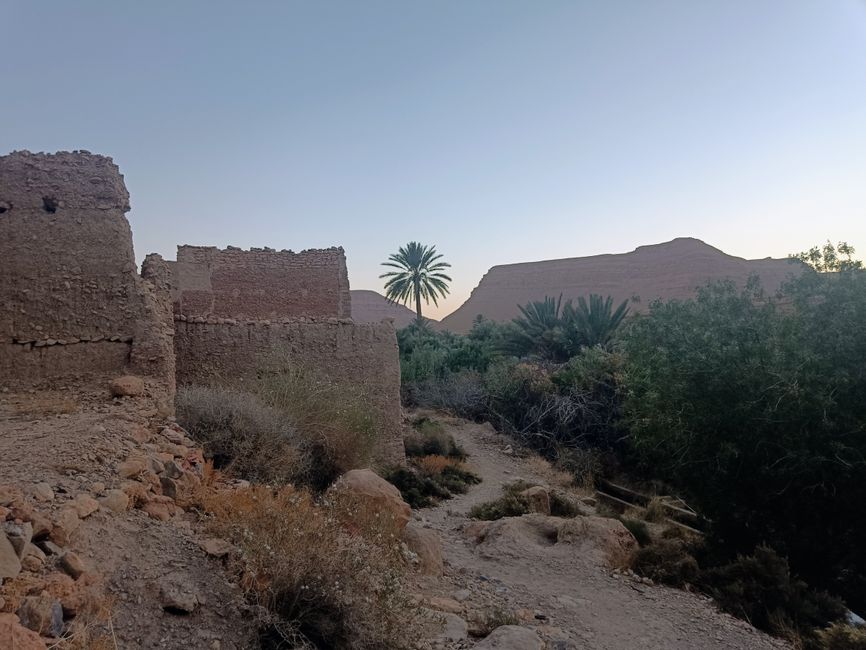 On the way to the Sahara