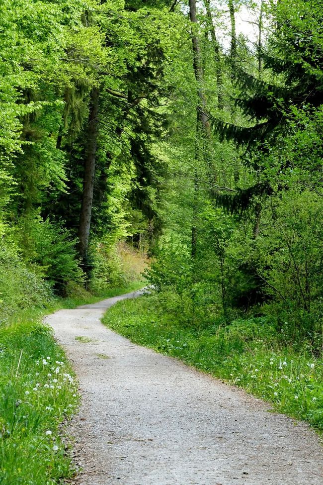 EIN TAL FÜR ENTDECKER - Deine nächste Lieblingswanderung beginnt hier