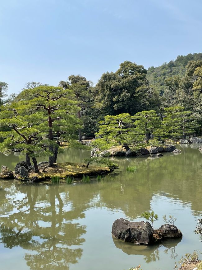 Kyoto-Sábado-05.04.25
