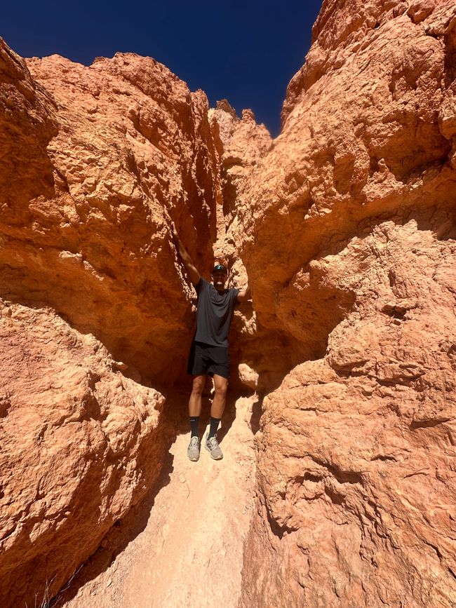 Canyon Land: Zion and Bryce Canyon❤️