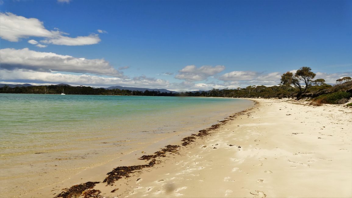 - Singapur & Tasmania 2019 -