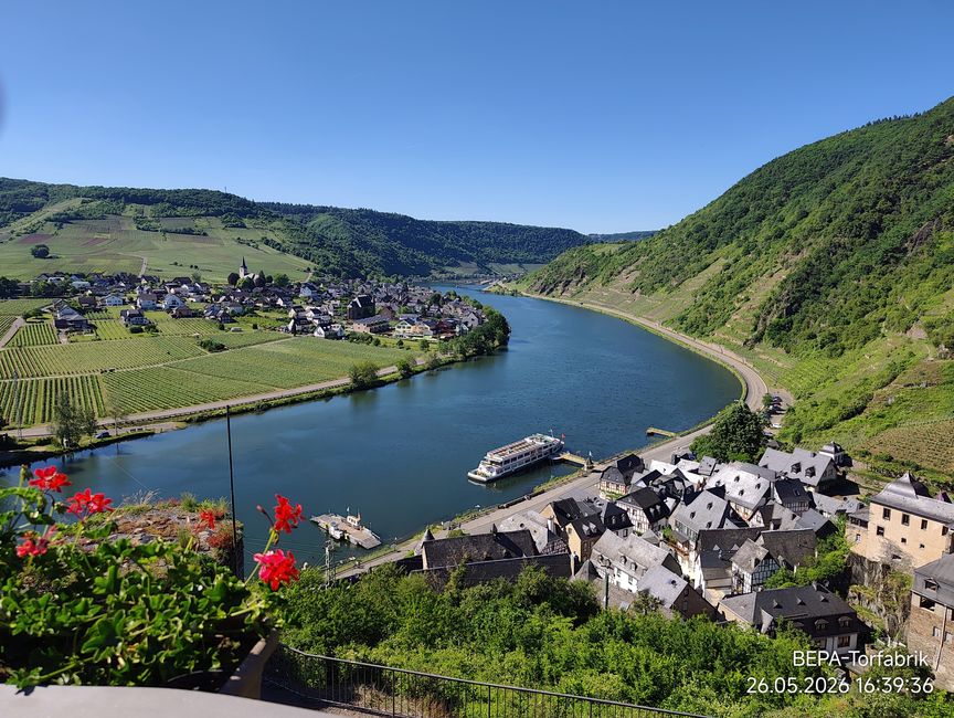 Ein , Arbeitstag ' für Herrchen an der Mosel 