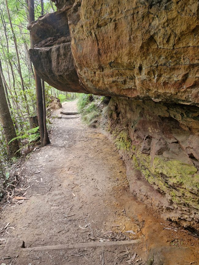 Weg durch den Limestone