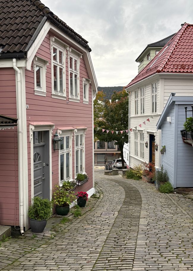 #2/6 - AIDAnova - Bergen