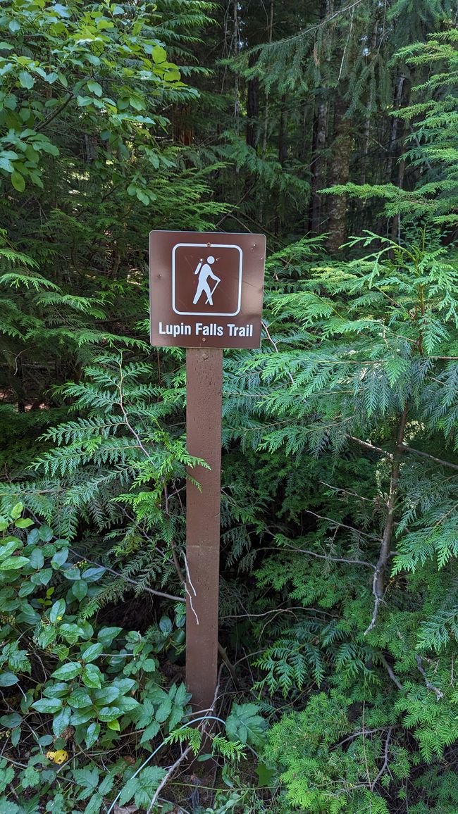 Lupin Falls Trail