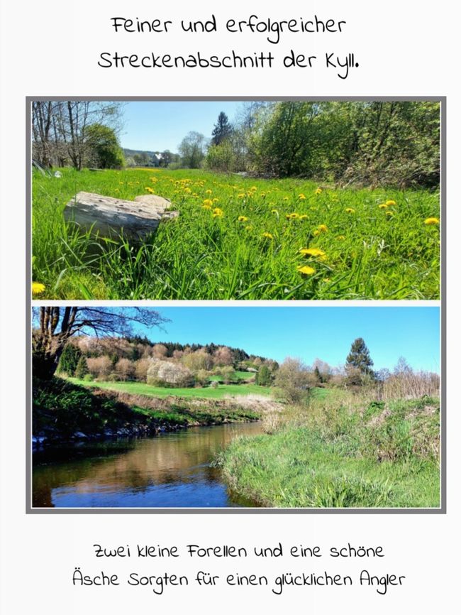 Not only fly fishing at the Kyll/Eifel