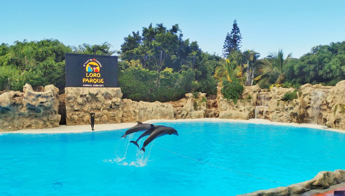 Loro Parque - zoo