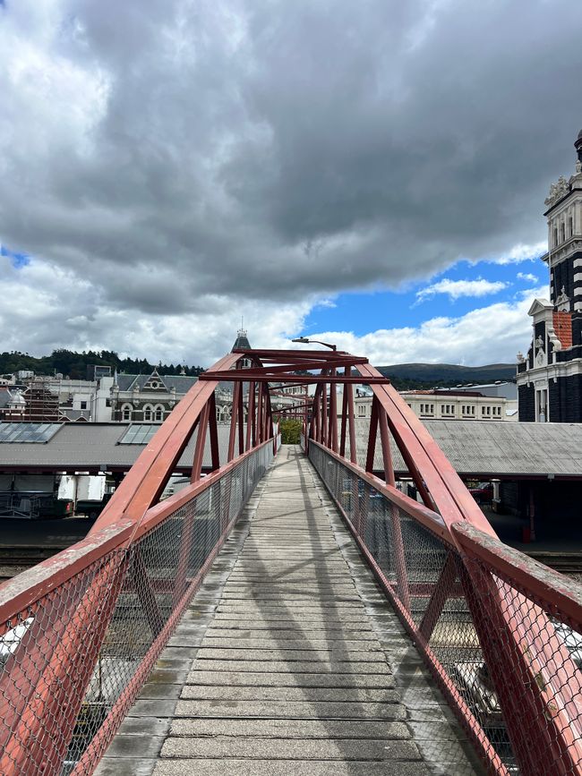 southernmost point, surfing, penguins, sea lions, rugby, billiards and Dunedin