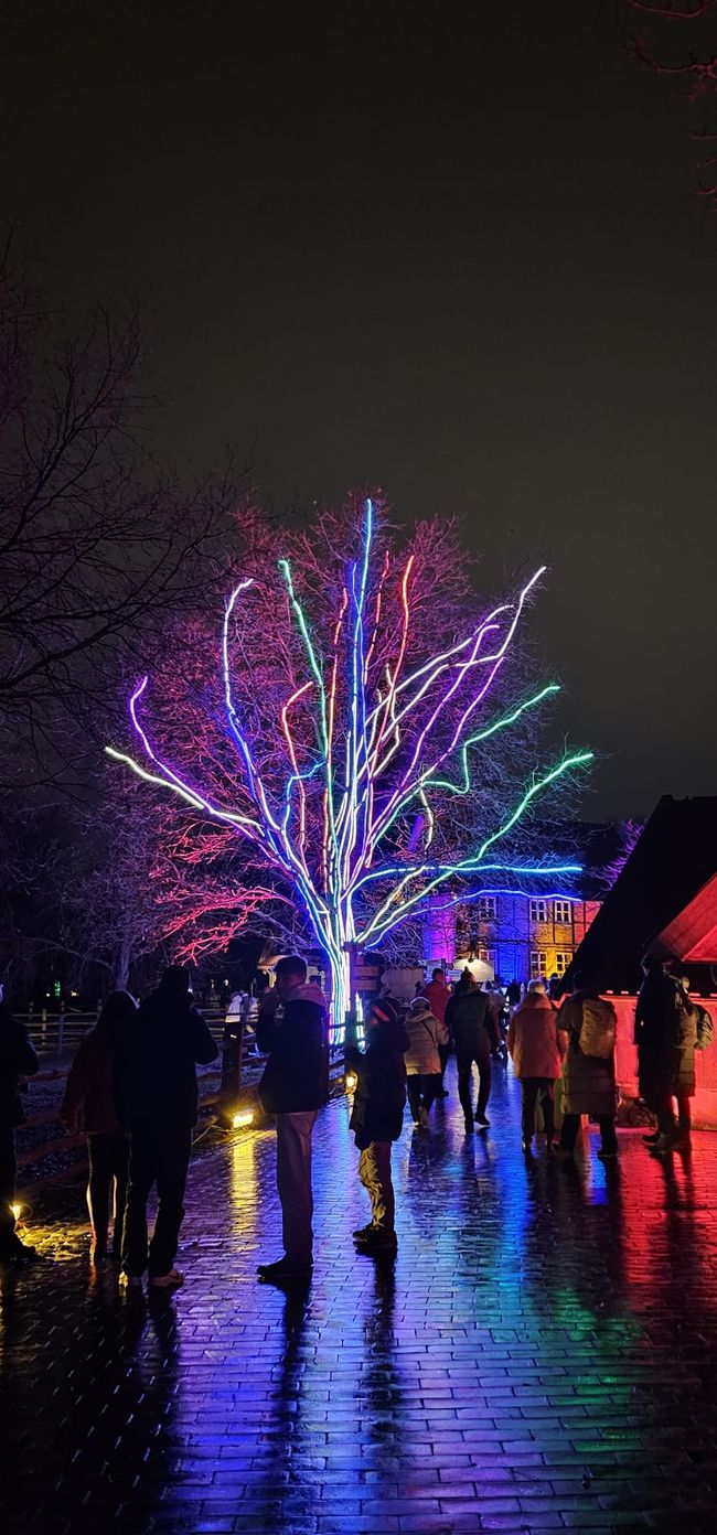 Giardino di Natale allo Zoo di Hannover