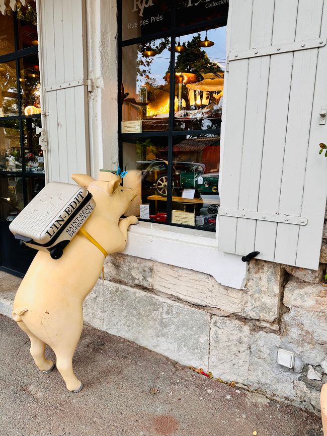 Saint-Rémy-de-Provence, los Alpilles y Salon-de-Provence