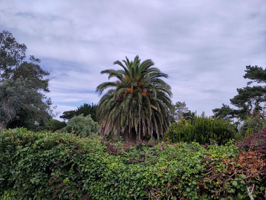 Bréhat
