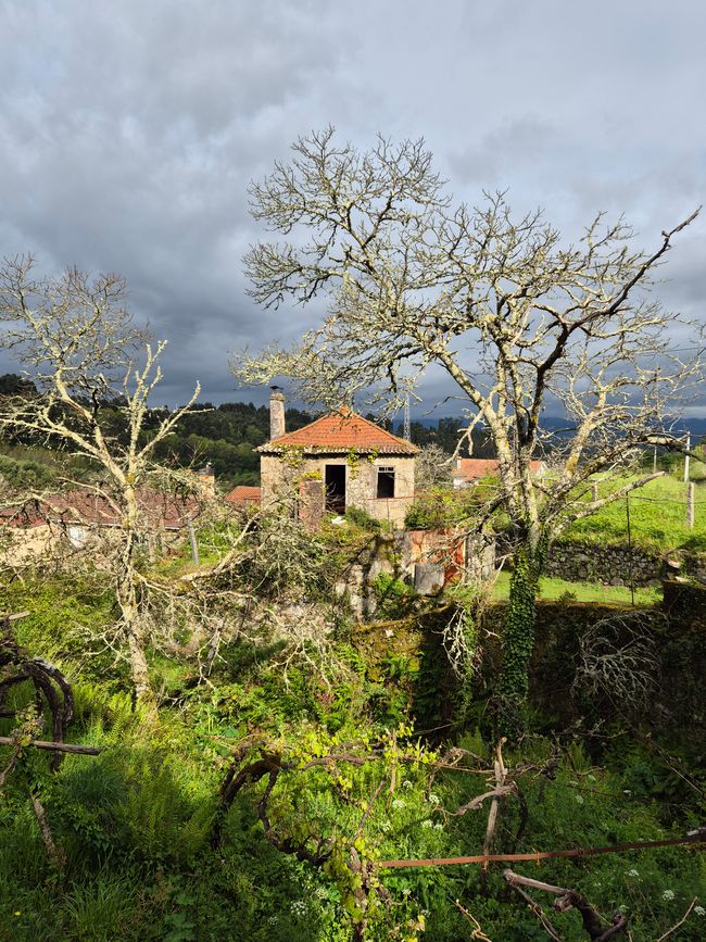 7. Etappe