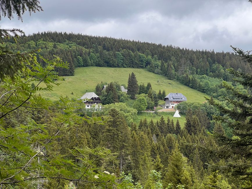 26 Feldbergsteig Escursione Pro Wolermoos