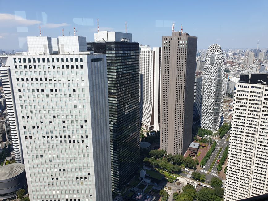 Tokyo from above