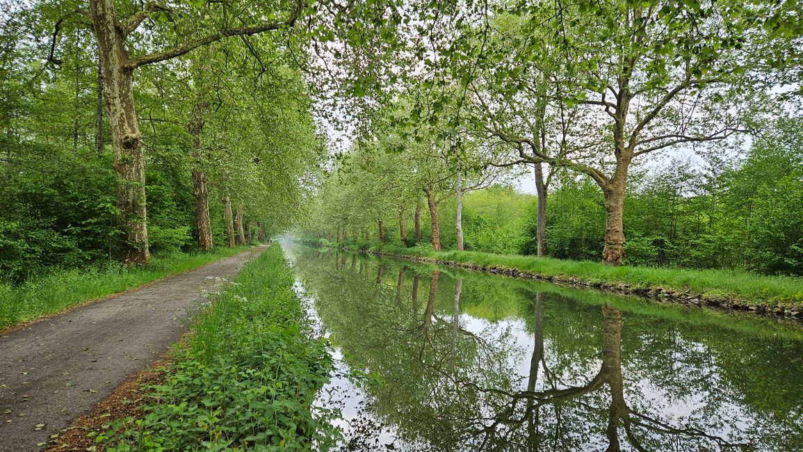 Canal des Vosges