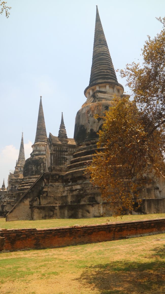 Ayutthaya Bellezza del Vecchio Siam