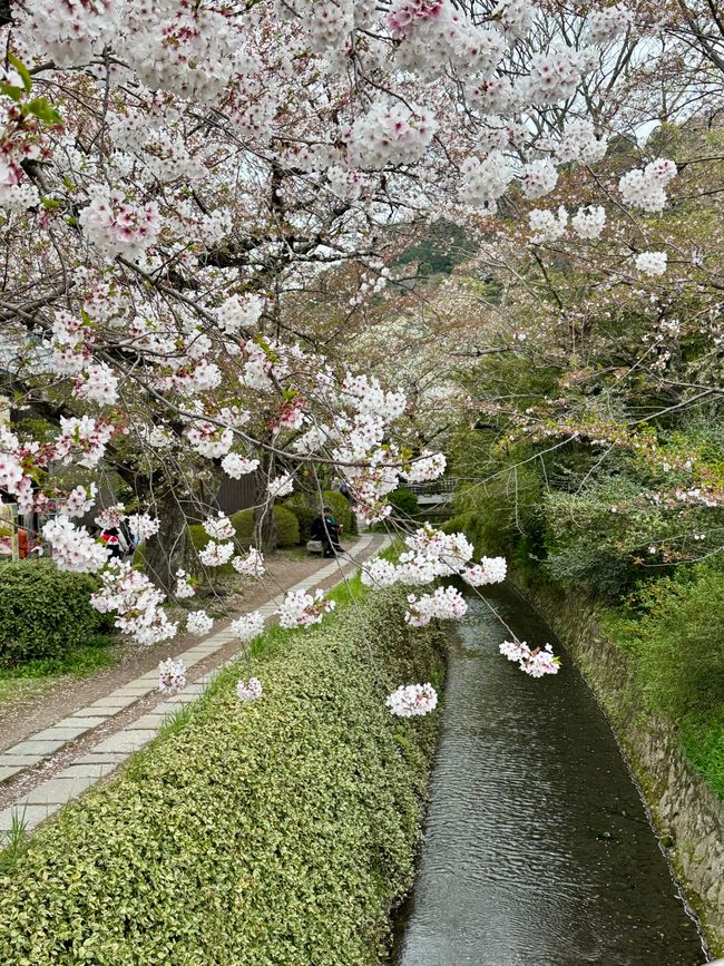 Part 8 Japan 🇯🇵 Kanazawa