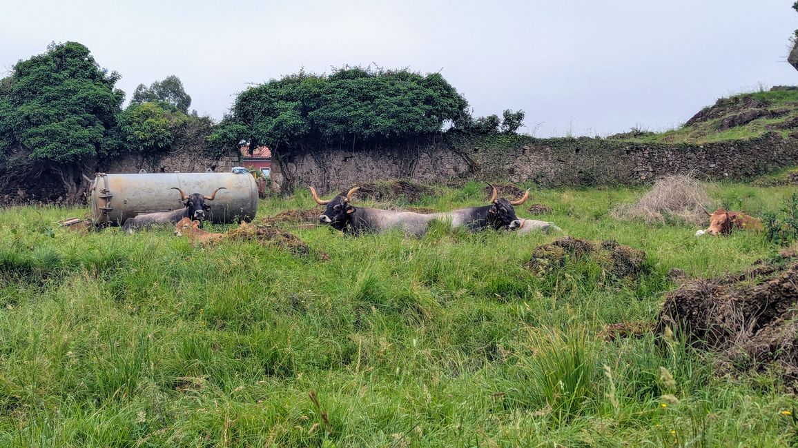 9. Etappe Camino del Norte von Santillana del Mar nach Comillas