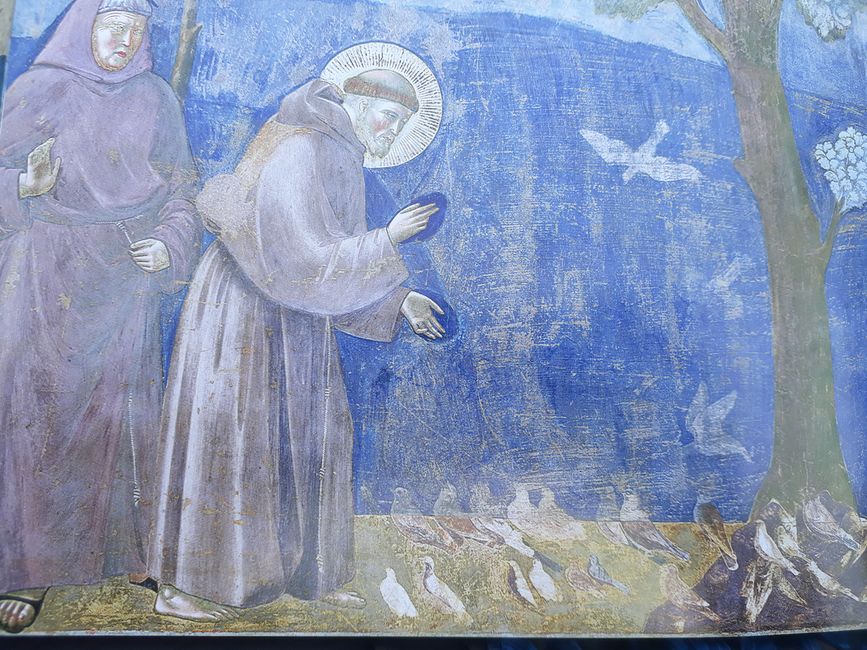 Die Vogelpredigt, ein Bild aus dem Zyklus von Giotto