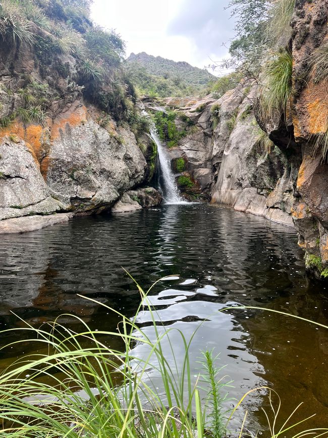Trekking (Los Gigantes)