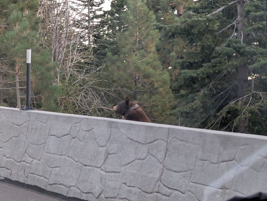 Lago Tahoe